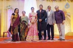 TG Thyagarajan Son Wedding Reception - 58 of 58