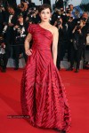 the-68th-annual-cannes-film-festival-photos