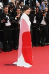 the-68th-annual-cannes-film-festival-photos