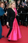 the-68th-annual-cannes-film-festival-photos