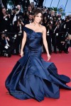 the-68th-annual-cannes-film-festival-photos