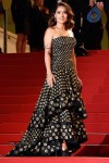 the-68th-annual-cannes-film-festival-photos