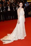 the-68th-annual-cannes-film-festival-photos