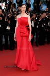 the-68th-annual-cannes-film-festival-photos