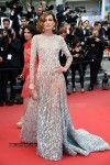 the-68th-annual-cannes-film-festival-photos
