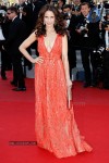 the-68th-annual-cannes-film-festival-photos