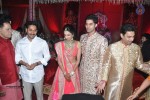 tsr-grandson-rajiv-marriage-photos-01