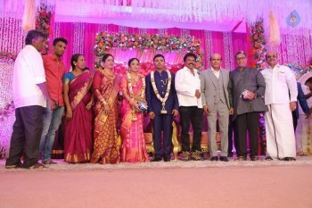 Vagai Chandrasekar Daughter Wedding Reception - 47 of 73