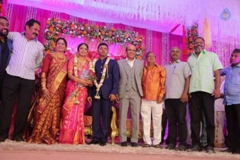 Vagai Chandrasekar Daughter Wedding Reception - 62 of 73