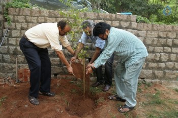 Venkatesh at Haritha Haram Program - 27 of 42