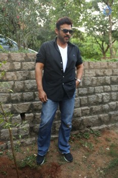 Venkatesh at Haritha Haram Program - 29 of 42