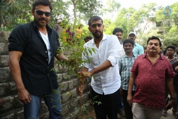 Venkatesh at Haritha Haram Program - 31 of 42