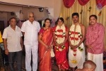 VP Mani Daughter Gayathiri Wedding Photos - 1 of 32