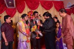 VP Mani Daughter Gayathiri Wedding Photos - 17 of 32