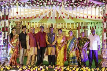 Writer Thota Prasad Daughter Wedding Reception Photos - 5 of 38