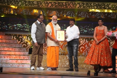 Zee Telugu Golden Awards 2017 - 17 of 55