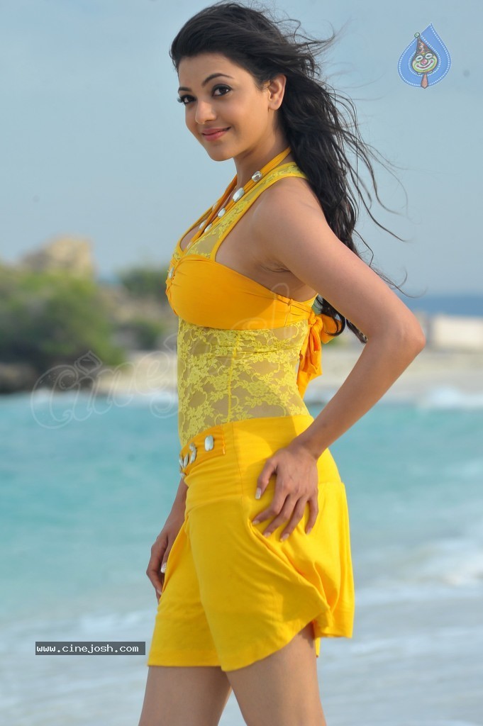 Kajal Agarwal New Hot Stills  - 55 / 90 photos