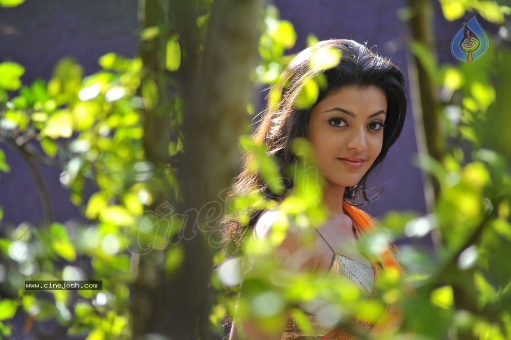 Kajal Agarwal Spicy Stills - 1 / 74 photos