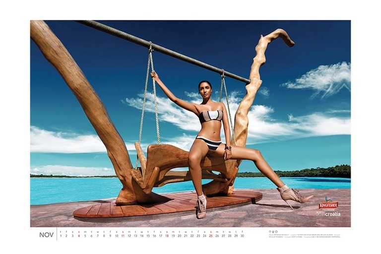 Kingfisher 2018 Calendar Photos - 9 / 12 photos