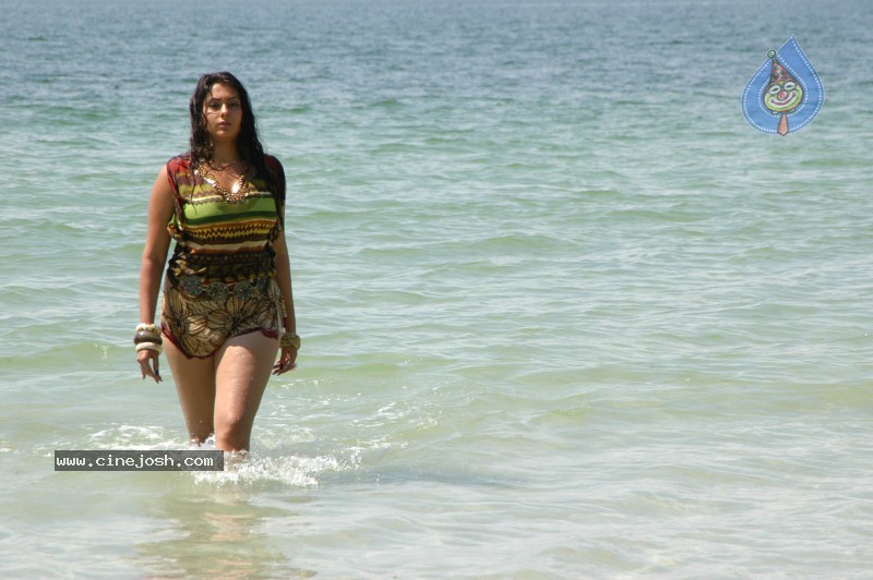 Namitha Hot n Spicy Pics (CineJosh Exclusive) - 15 / 101 photos