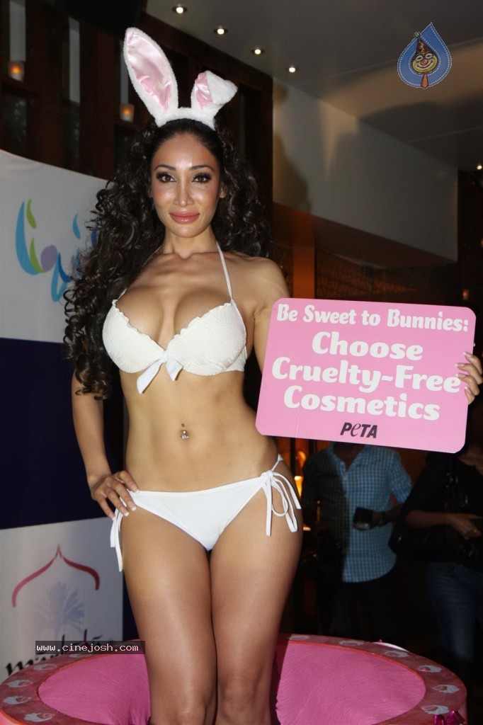 Sofia Hayat Special Photo Shoot - 8 / 59 photos