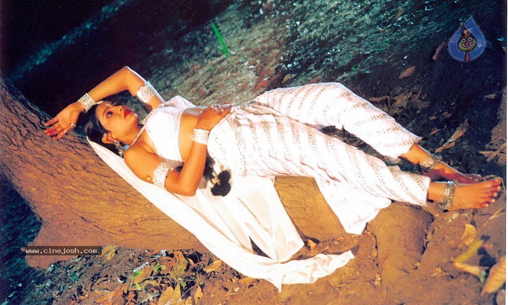 Visha Nagam Tamil Movie Hot Stills - 11 / 12 photos