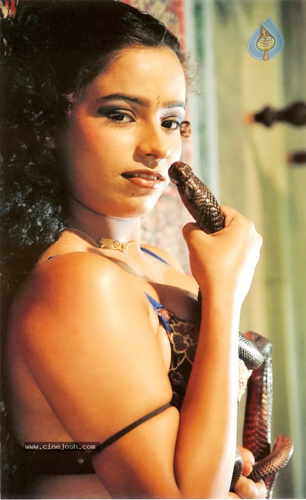 Visha Nagam Tamil Movie Hot Stills - 12 / 12 photos