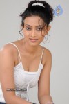 aakarsha-spicy-stills