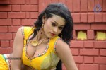 actress-nisha-hot-stills