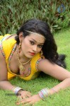 actress-nisha-hot-stills