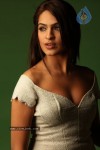 aditi-agarwal-spicy-stills