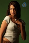 aditi-agarwal-spicy-stills