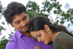 Anarkali Movie Hot Stills - 69 of 88