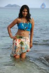 Bindu Madhavi Hot Photos - 14 of 102