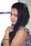 Catherine Tresa Hot Stills  - 40 of 43