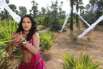 Cinemaki Veladam Randi Movie Spicy Stills - 51 of 136