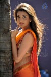 Kajal Agarwal Spicy Stills - 67 of 74