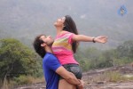 Kattu Puli Tamil Movie Spicy Stills - 39 of 49