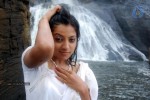 keerthi-chawla-spicy-stills