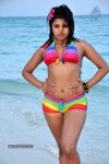 Komal Jha Spicy Gallery - 10 of 106