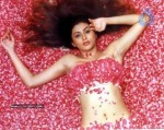 Namitha Spicy Gallery - 48 of 61
