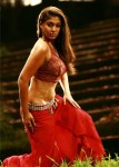 Nayanthara Spicy Gallery - 4 of 17