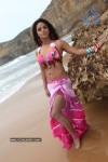 Neetu Chandra Spicy Pics - 55 of 56