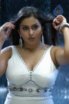 Namitha Hot n Spicy Pics (CineJosh Exclusive) - 17 of 101