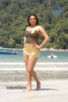 Namitha Hot n Spicy Pics (CineJosh Exclusive) - 28 of 101