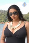Namitha Hot n Spicy Pics (CineJosh Exclusive) - 30 of 101