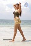Namitha Hot n Spicy Pics (CineJosh Exclusive) - 37 of 101