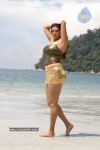 Namitha Hot n Spicy Pics (CineJosh Exclusive) - 47 of 101