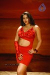 Namitha Hot n Spicy Pics (CineJosh Exclusive) - 50 of 101