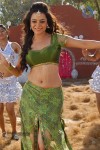 Nisha Agarwal Spicy Pics - 43 of 120